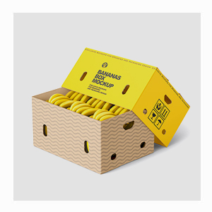 Banana Packaging Box Manufacturers in Ahmedabad, Sanand, Gujrat – SSIC