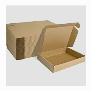 Panel Packaging Box Manufacturers in Ahmedabad, Sanand, Gujrat – SSIC